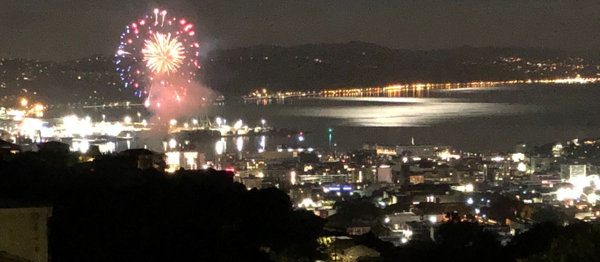 Wellington.Scoop » ‘World class solutions’