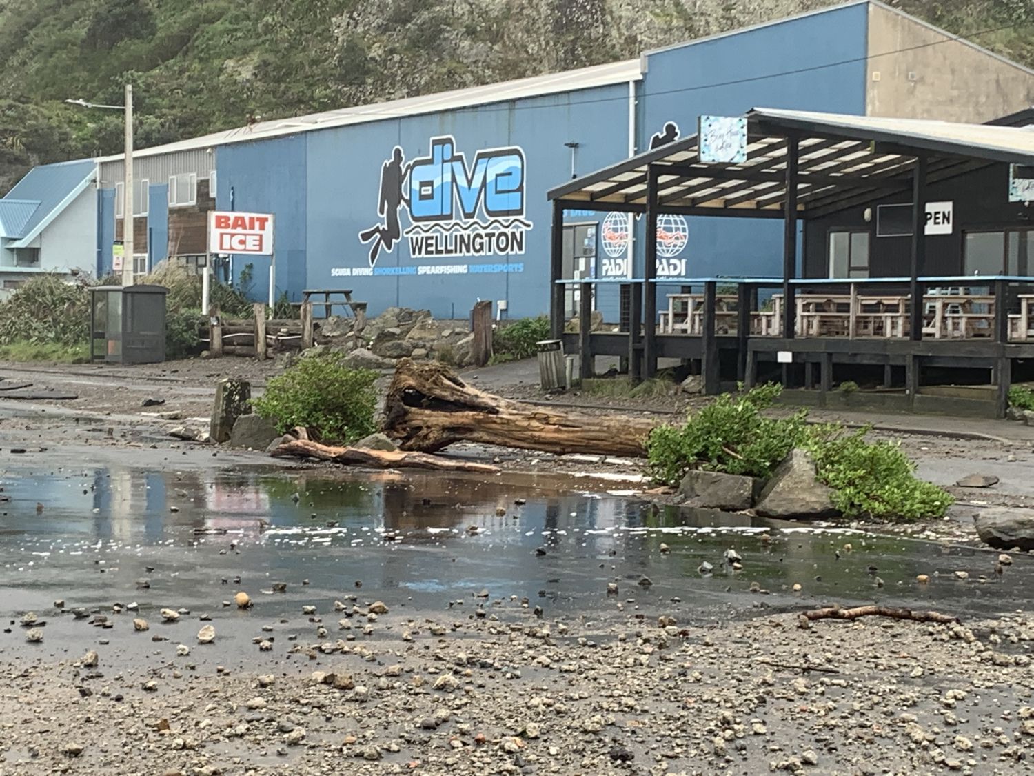 Wellington Scoop High Waves Flood Roads On South Coast Cook Strait wellington-scoop-high-waves-flood-roads-on-south-coast-cook-strait