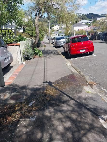 Wellington.Scoop » Newtown’s exploding water tobys