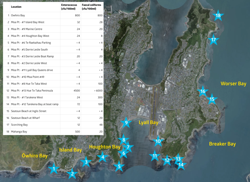 Wellington.Scoop » Moa Point’s long outfall pipe is “partially ...